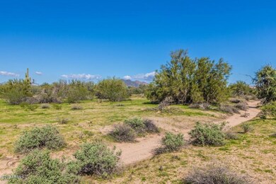 Lone Mountain 6