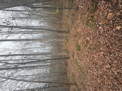 0 Paradise Rd unit 58029, Farmville, VA 23901 - photo 2