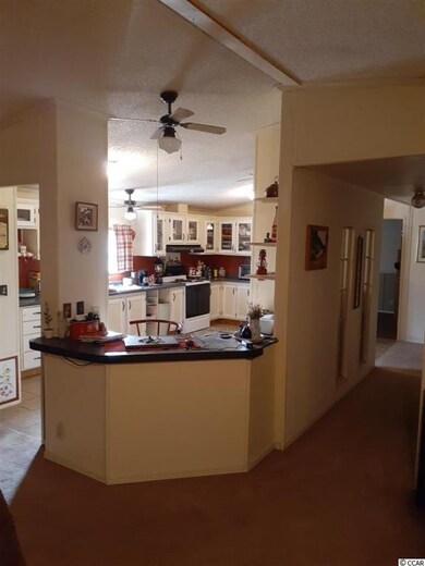 1468 Cane Branch Rd, Loris, SC 29569 - photo 7