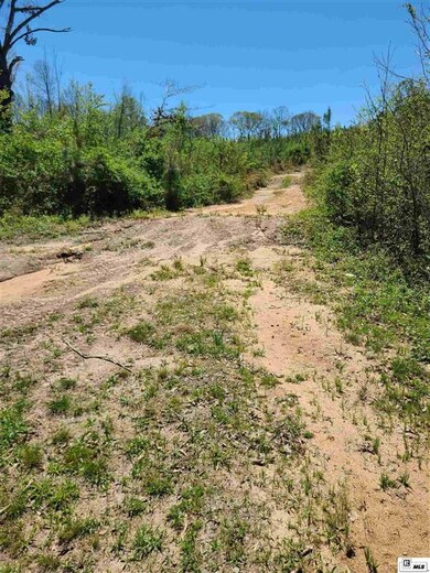 0 Highway 144 unit Highway 556, Choudrant, LA 71277 - photo 2