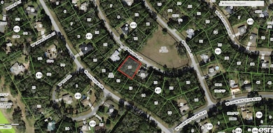 8798 N Salina Dr, Citrus Springs, FL 34434 - photo 3