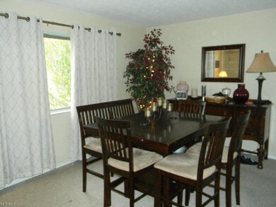 2051 Presidential Pkwy unit 32, Twinsburg, OH 44087 - photo 2