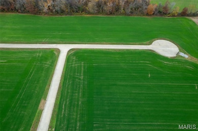 325 Bertha E Dumey Dr, Benton, MO 63736 - photo 2