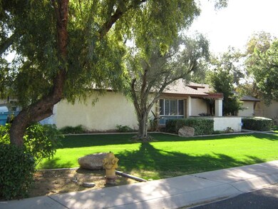 Larkspur front