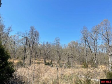 173 Ross Ln, Elizabeth, AR 72531 - photo 6