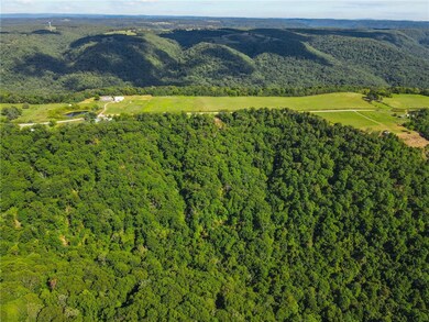 19987 Winfrey Valley Rd, Winslow, AR 72959 - photo 6