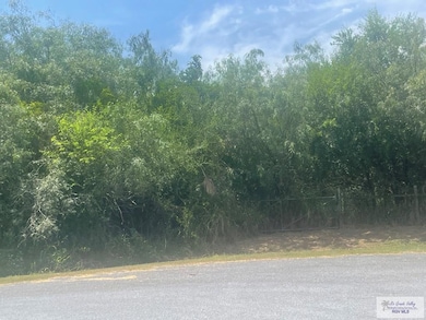 0 Island Estates St unit 29767184, San Benito, TX 78586 - photo 5