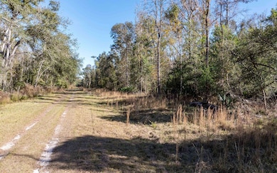 0 Lot 29 188th Trail, Live Oak, FL 32060 - photo 4