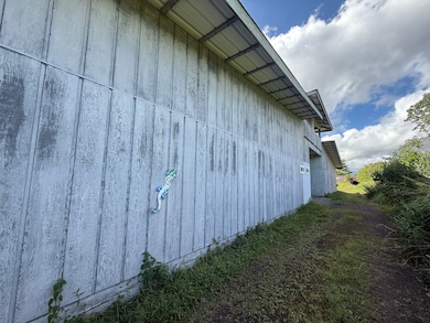 880 Ainalako Rd, Hilo, HI 96720 - photo 2