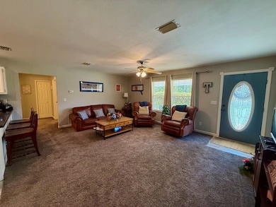 1067 NE 424th Ave, Old Town, FL 32680 - photo 5