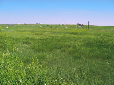 0 Gobbler Ln unit Lot 56 Gobbler Ln. R, Smithwick, SD 57782 - photo 5