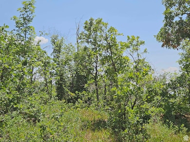 844 E Edgewood Dr unit 844, Fairview, UT 84629 - photo 3