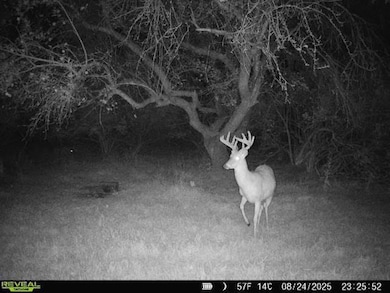 V L Hatton Rd, Farwell, MI 48622 - photo 5