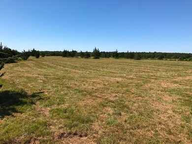 134 Sarita Walker Rd, West Tisbury, MA 02568 - photo 5