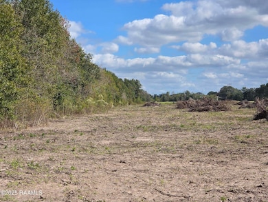 Tbd Rue Novembre Rd, Scott, LA 70583 - photo 4