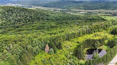 00 Beebe Hill Rd, Cuba, NY 14727 - photo 5