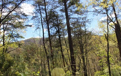 Additional View