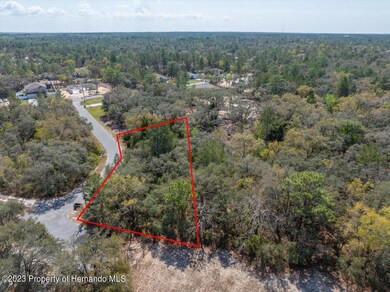 07-Property Aerial