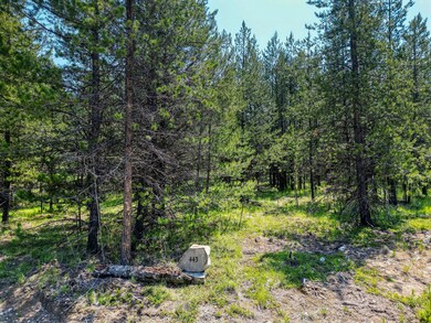 443 McGregor Meadows Rd W, Marion, MT 59925 - photo 4