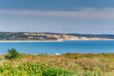 81 Squibnocket Farm Rd, Chilmark, MA 02535 - photo 7