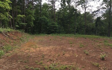 L43 B Mountain Rivers Ln, Mineral Bluff, GA 30559 - photo 4