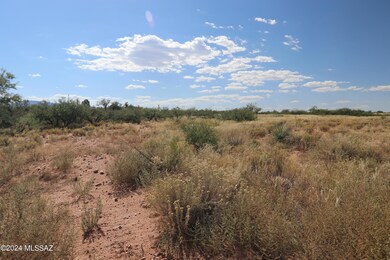 TBD-067D W Eeyore Ln unit 567, Benson, AZ 85602 - photo 2