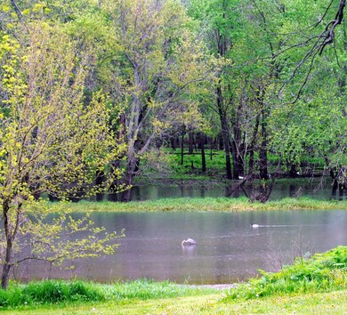 1317 Illinois 130, Villa Grove, IL 61956 - photo 4