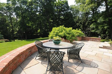 Back terrace
