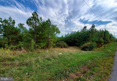 50.74 Acres Apple Harvest Dr, Gerrardstown, WV 25420 - photo 2