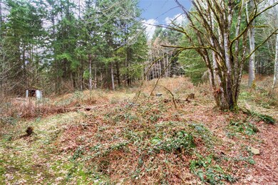 28408 Old 99 N, Stanwood, WA 98292 - photo 3