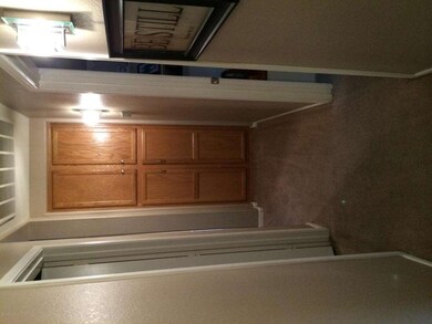 photo (15)