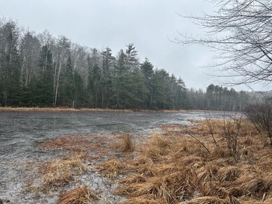 02-Pinkham brook-small pond from propert