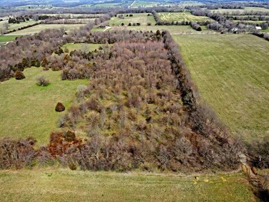 dji_fly_20230315_114408_15_1678898736776