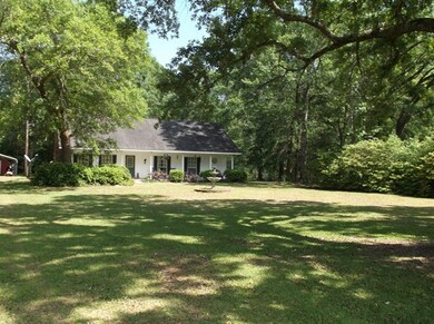 driveway view #1