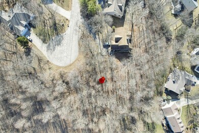 5-web-or-mls-DJI_0066 - Copy