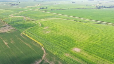 DJI_0294