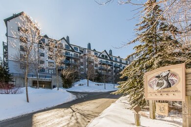 43 Middle Ridge Rd unit Rising Bear 310, Winhall, VT 05155 - photo 4