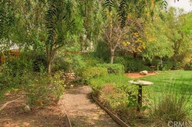 Park like backyard