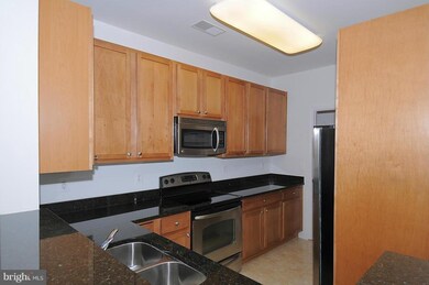 6163 Willow Place unit 204, Bealeton, VA 22712 - photo 2