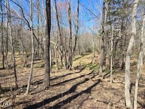 Tbd Carr Store Rd, Cedar Grove, NC 27231 - photo 6