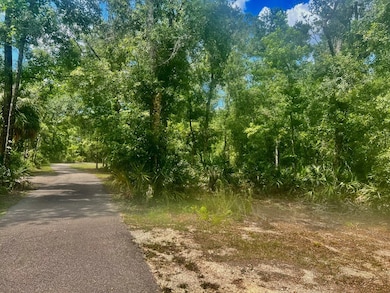 0 SW 50th Ln, Cross City, FL 32628 - photo 2