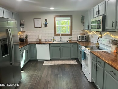 153 McJunkin Rd, Tellico Plains, TN 37385 - photo 5