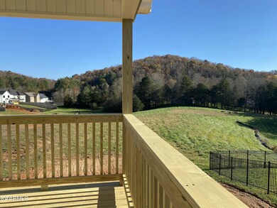 12734 Myrtle Ridge Ln, Knoxville, TN 37932 - photo 4