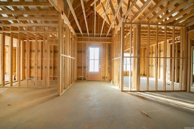 146 Whitetail Ridge Rd, Austin, AR 72007 - photo 5