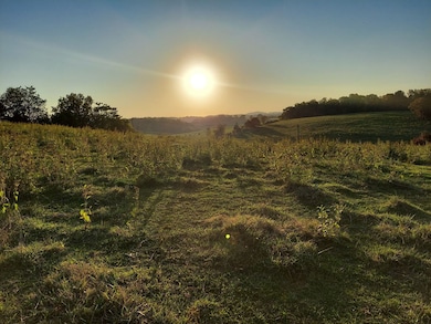 48.5 Acres Owl Hole Gap Rd, Rutledge, TN 37861 - photo 6