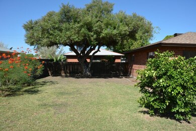Side Yard