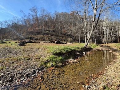 310 Tanner Fork, Shock, WV 26638 - photo 7