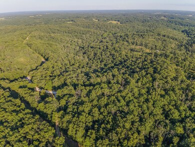 Tbd State Highway Y, Willow Springs, MO 65793 - photo 6