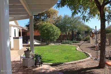 backyard grass 2