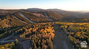 7 Elk Meadows Dr unit 7, Beaver, UT 84713 - photo 4